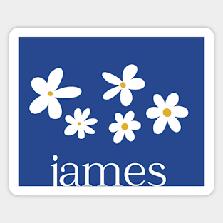James band fanart Magnet